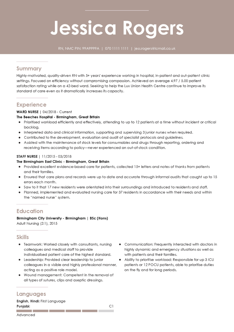 Professional CV template 1