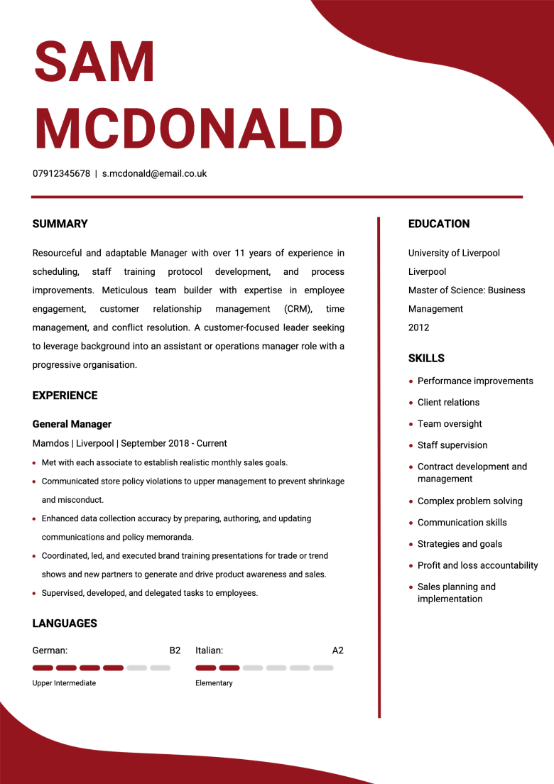 Professional CV template