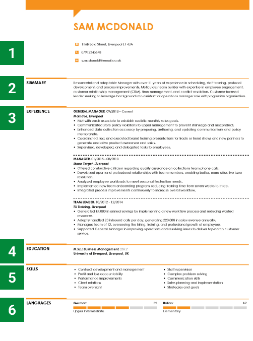 Cv Examples With Good Tips And Text Samples