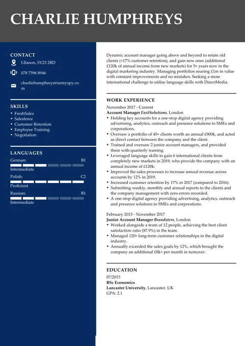 Account Manager CV Example