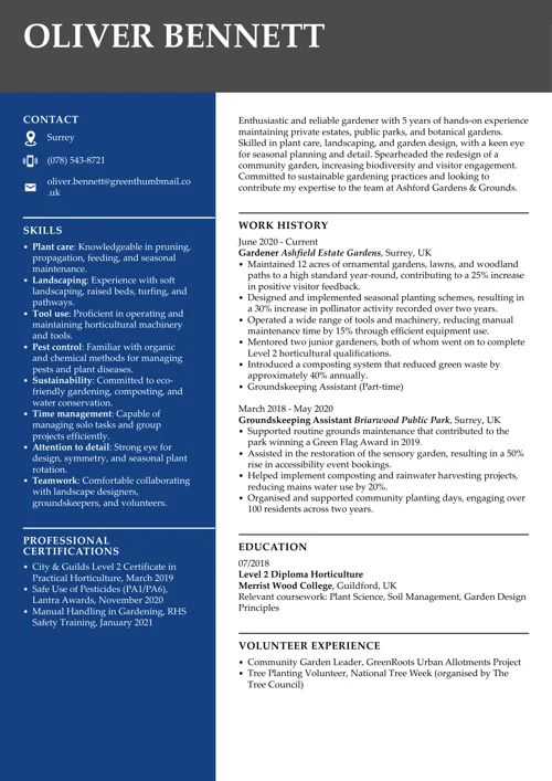 CV sample