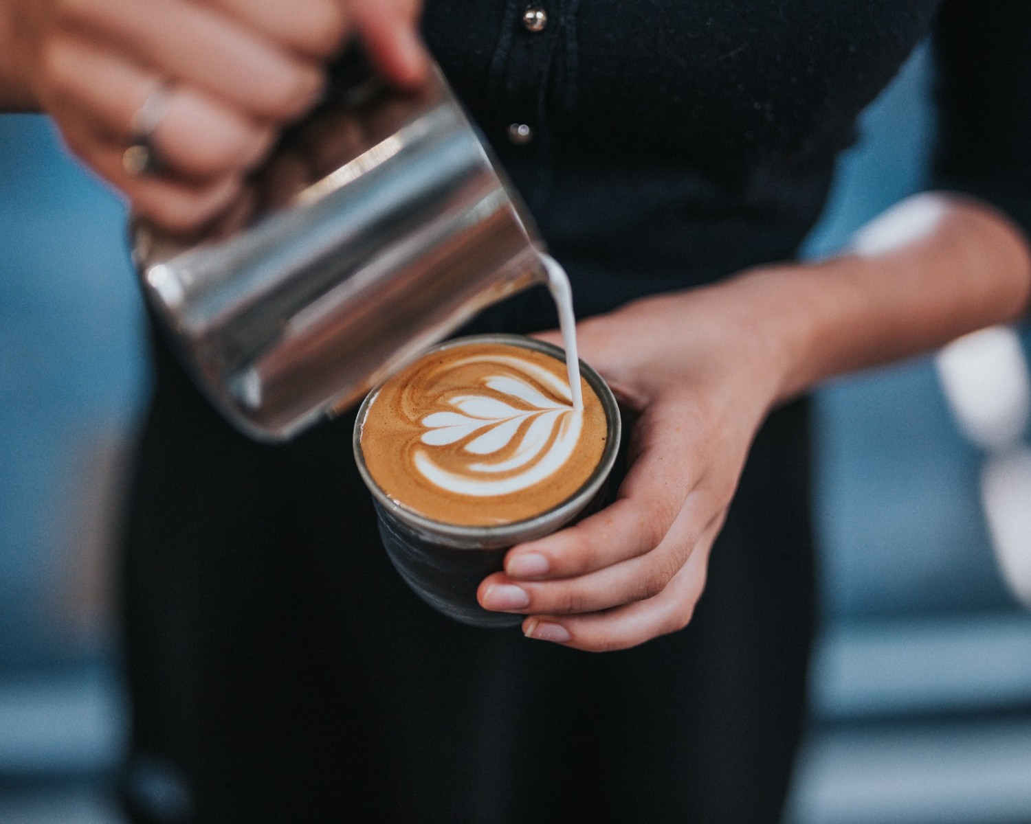 Barista CV Example, Guide & Writing Tips for 2025