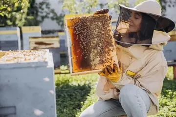 Crafting a Standout Beekeeper CV: Tips and Examples