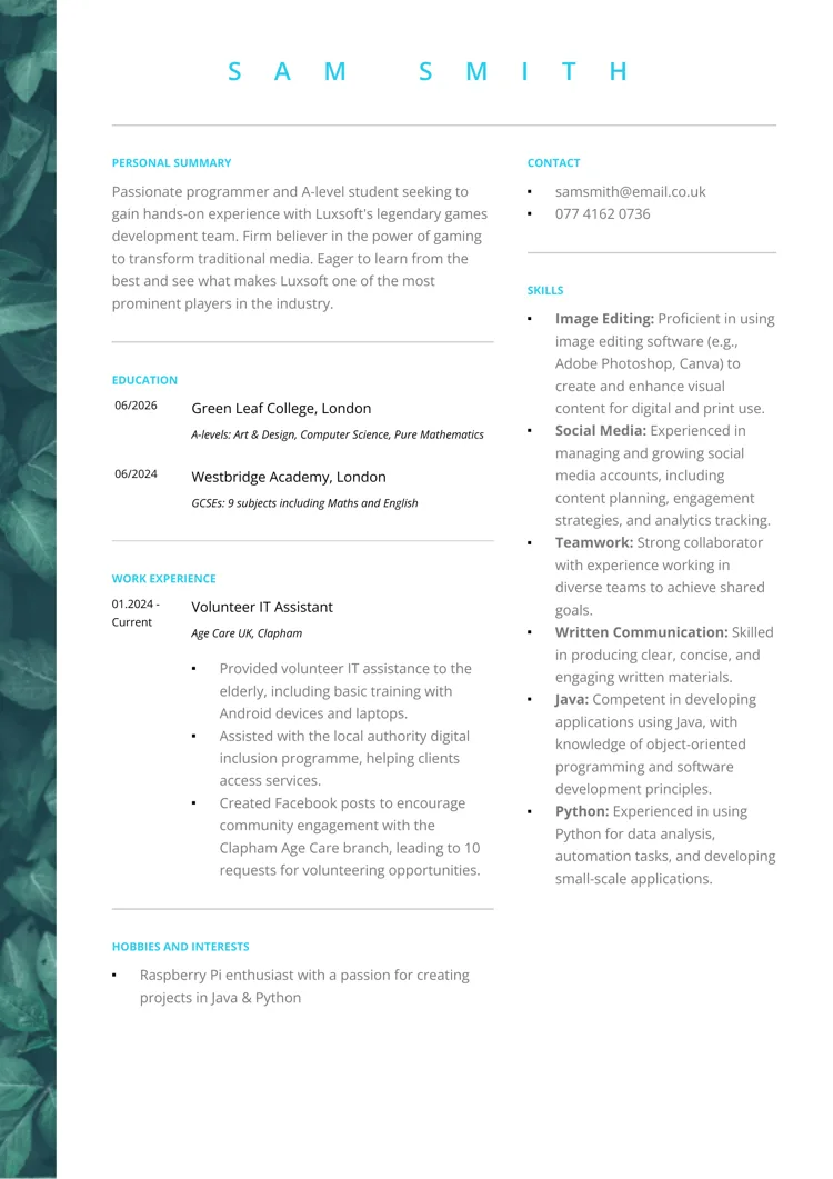 blank cv template