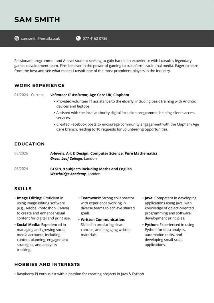 blank cv template