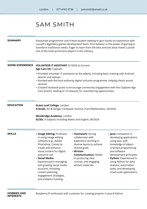 Blank CV template sample