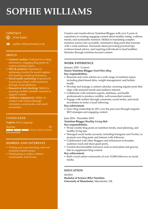 Blogger CV example