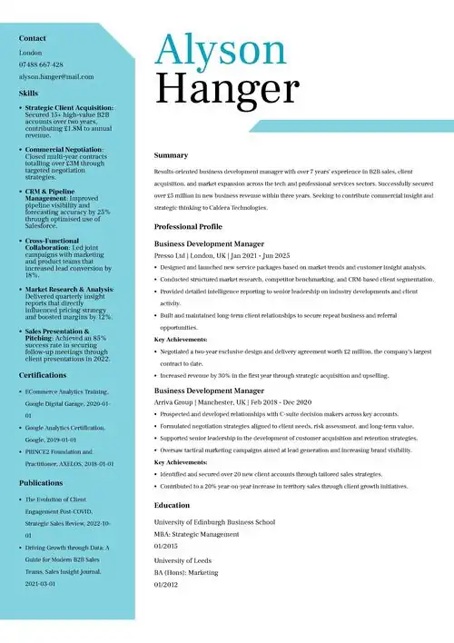 Business Development Manager CV Example