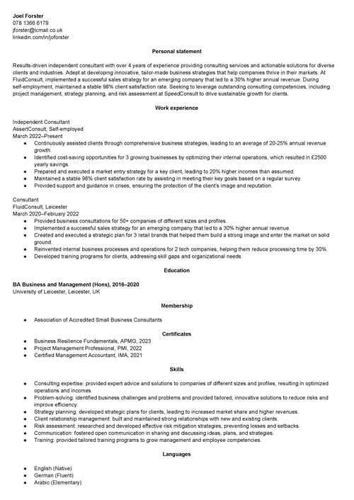 consulting CV example