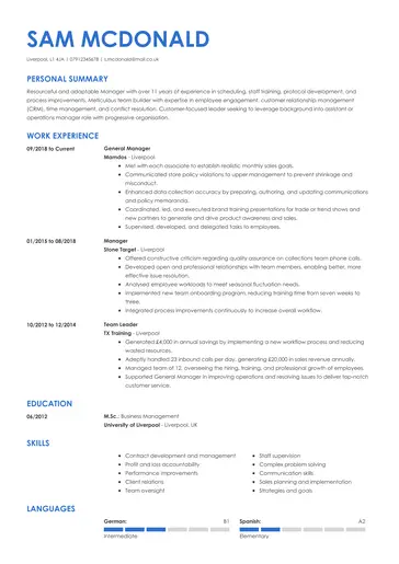 Professional Cv template 2