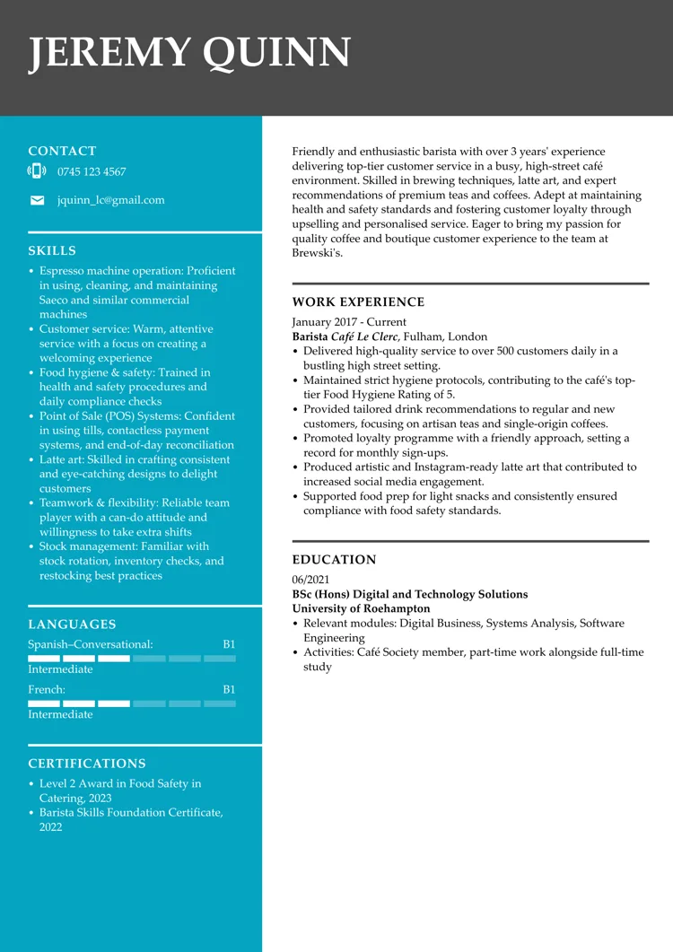 CV design sample