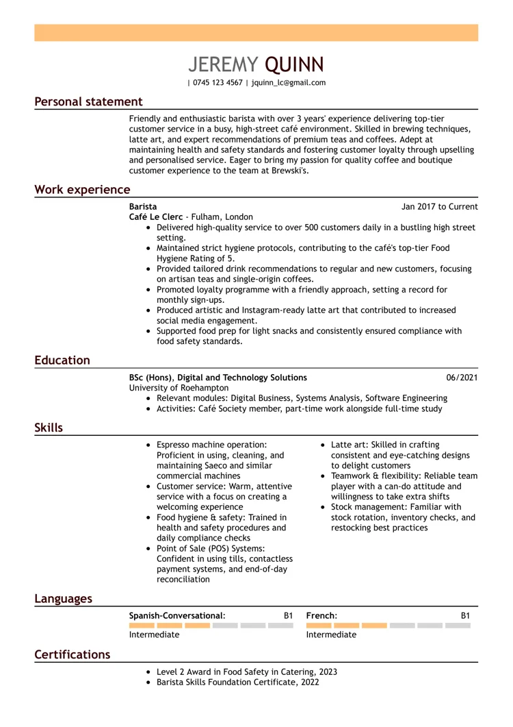 CV design sample