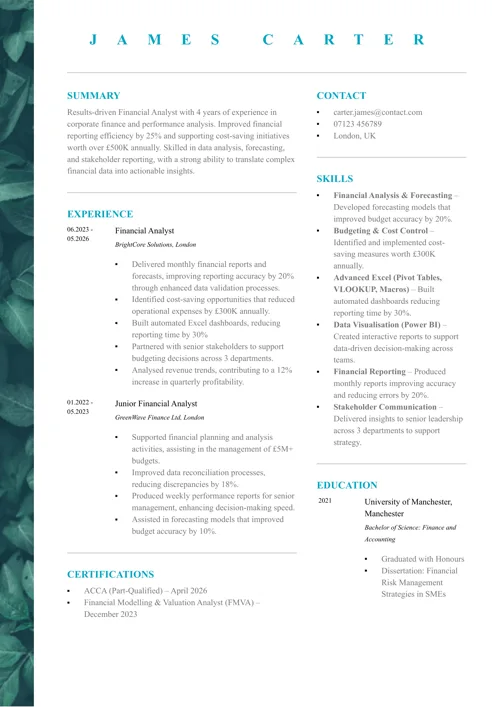 Word CV template sample