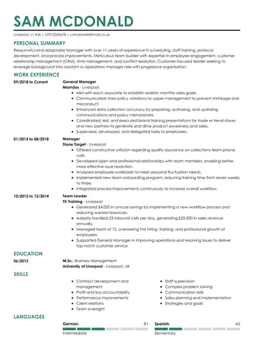 Professional CV template