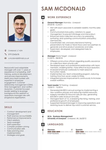 Professional CV template