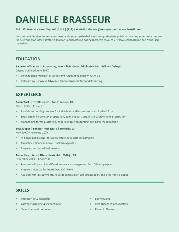 TS stylish accounting Word CV template