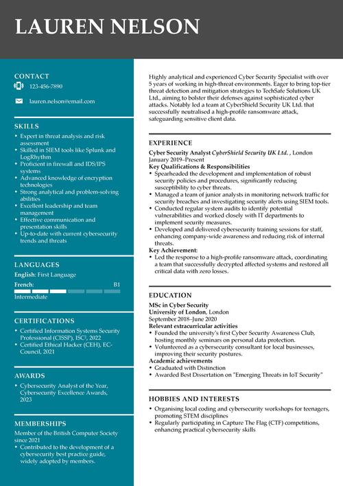 cyber security CV example