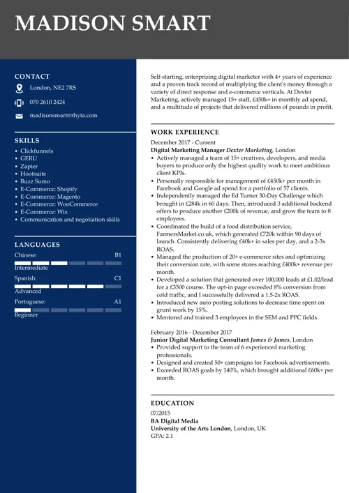Digital marketing CV example