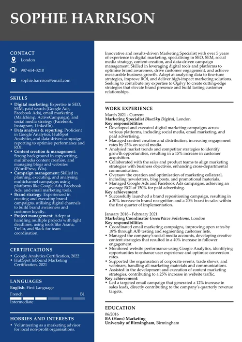 CV sample emphasising digital skills