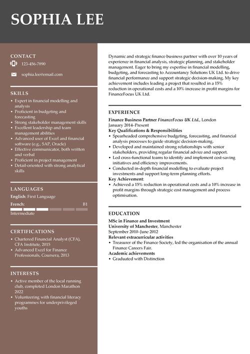 finance business partner CV example