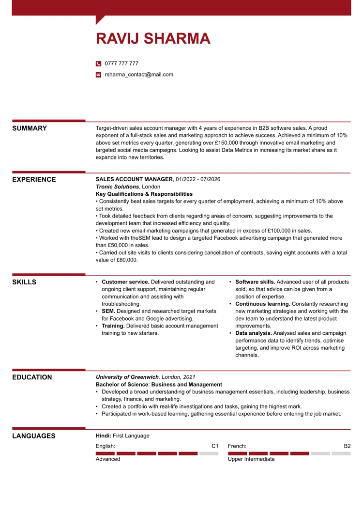 Intelligent CV template free example