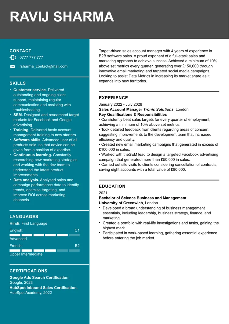 Contemporary CV template free example