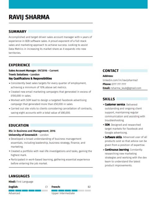 free Google Docs CV template