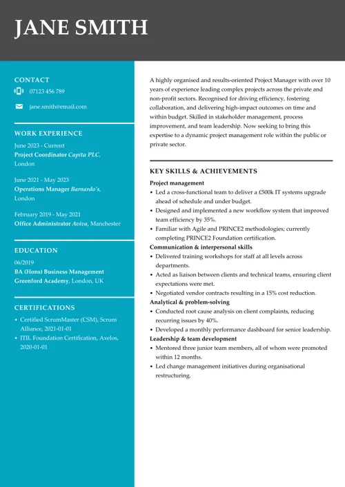 functional CV example