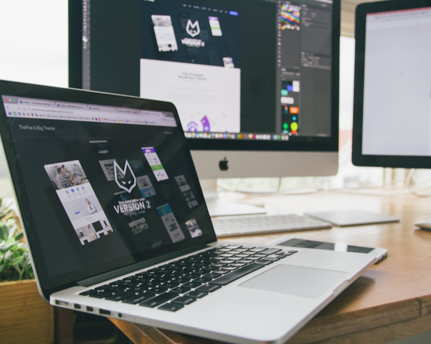 Graphic Design Cover Letter Examples and Writing Guide