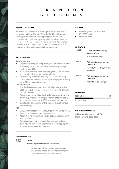 cv no experience example