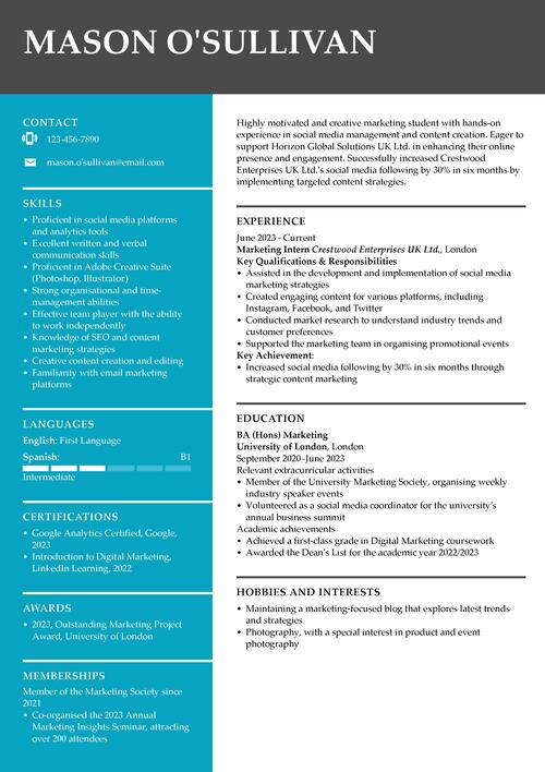  internship CV example