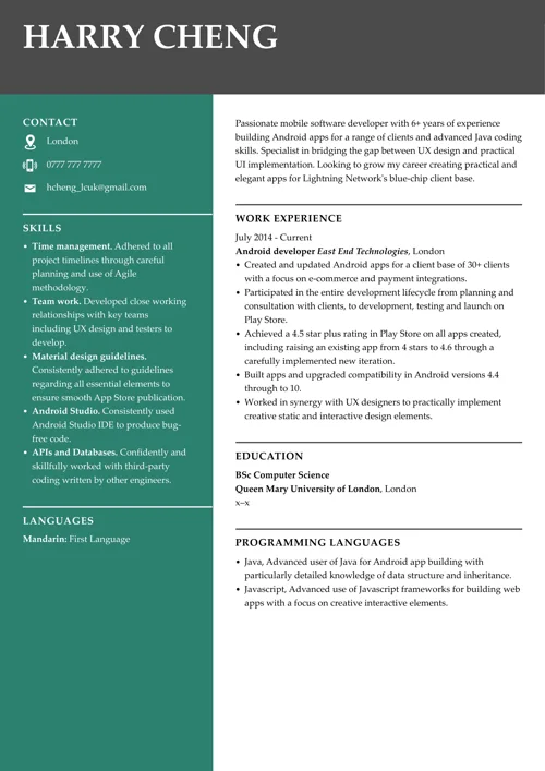 IT skills CV example
