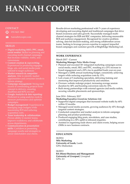 CV sample with marketing skills