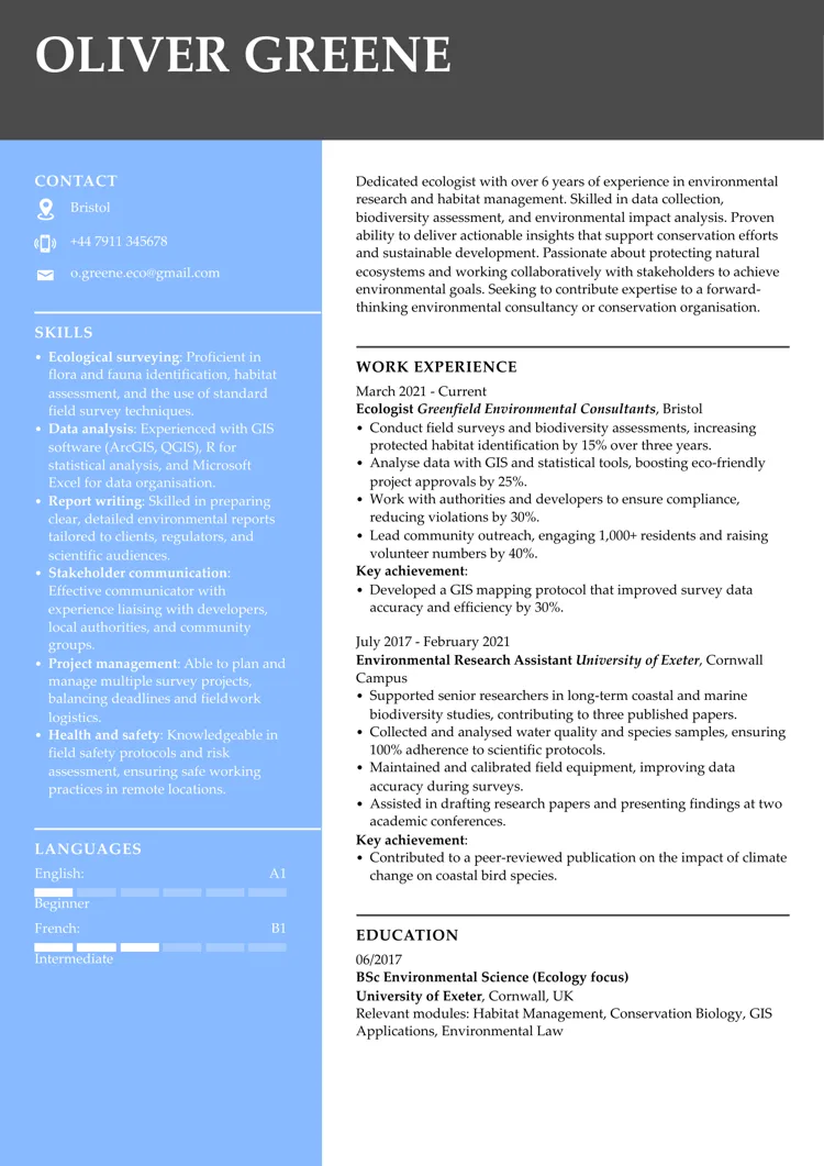 plantilla CV template