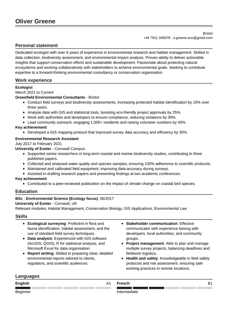 business professional CV template