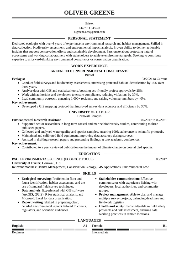 executive CV template