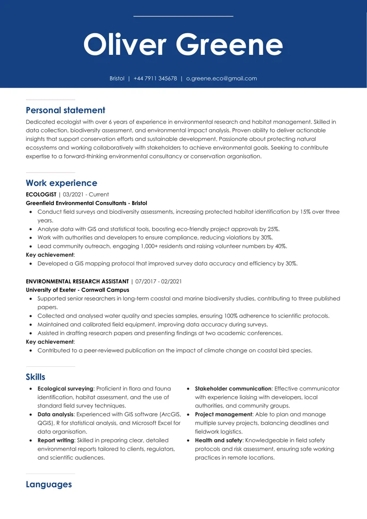 professional CV template
