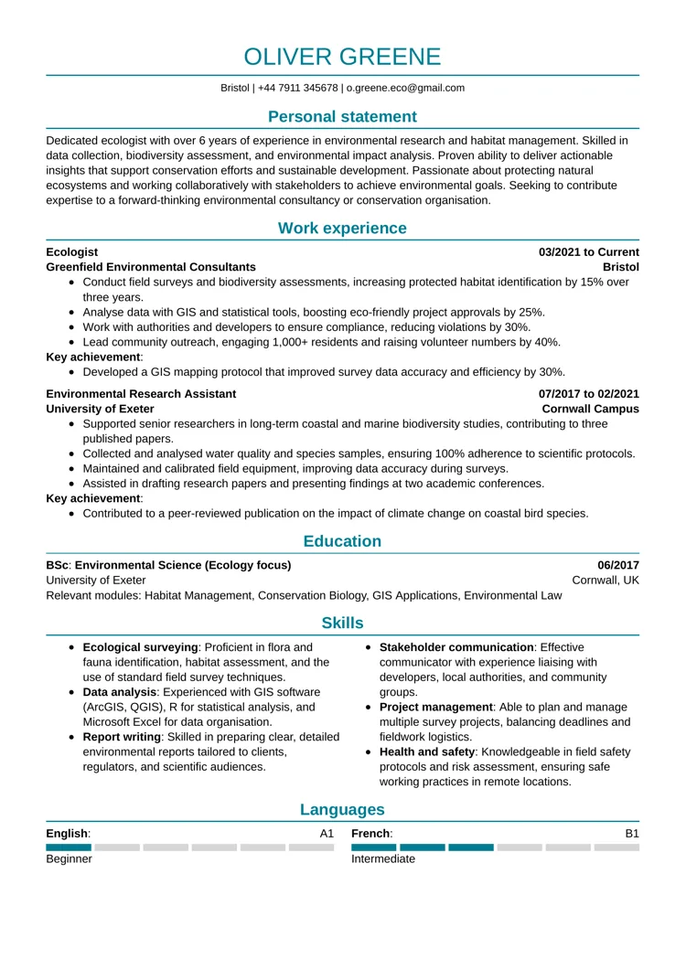 professional CV template