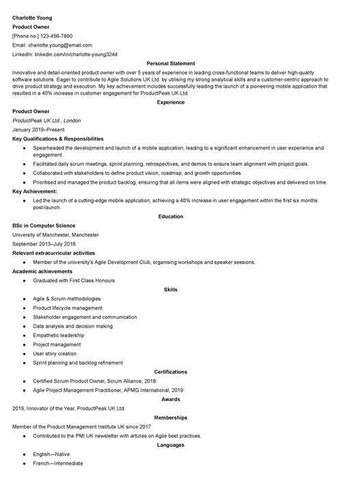 product owner CV example