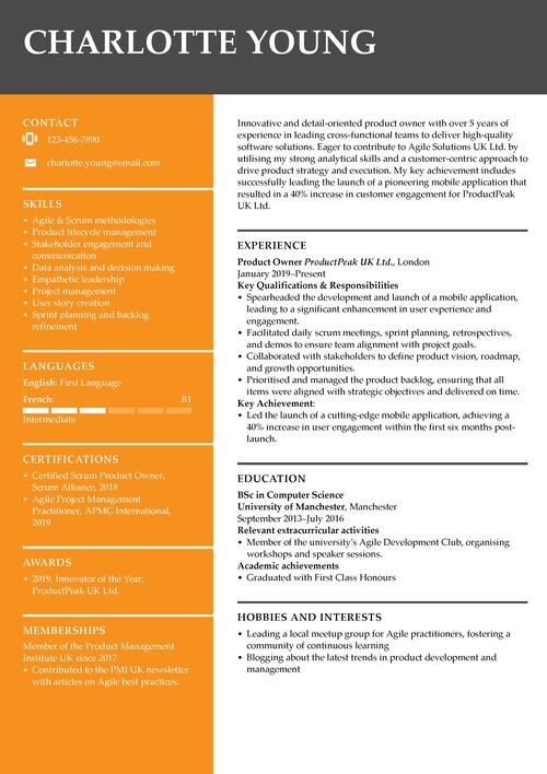 product owner CV example