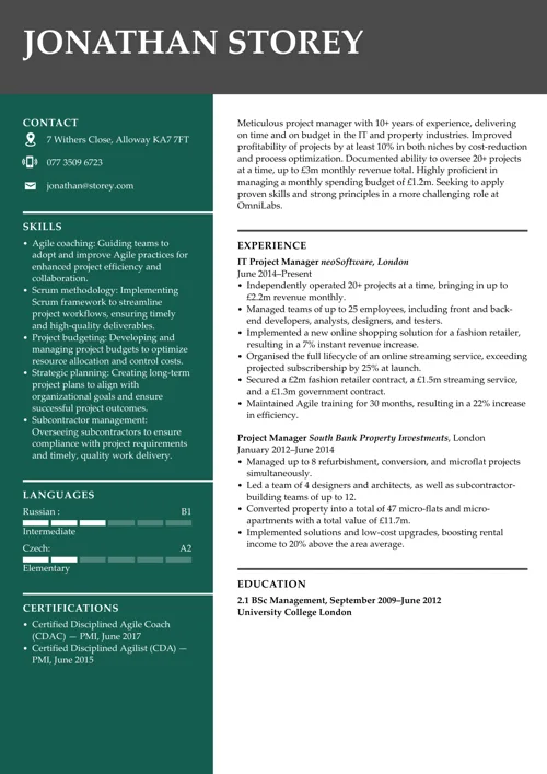 project manager CV example