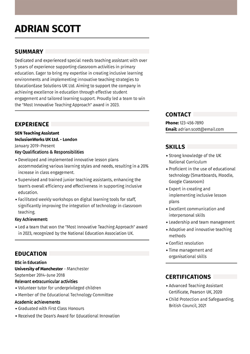 teaching assistant cv example
