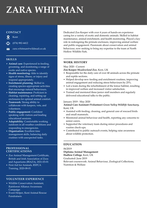 CV sample