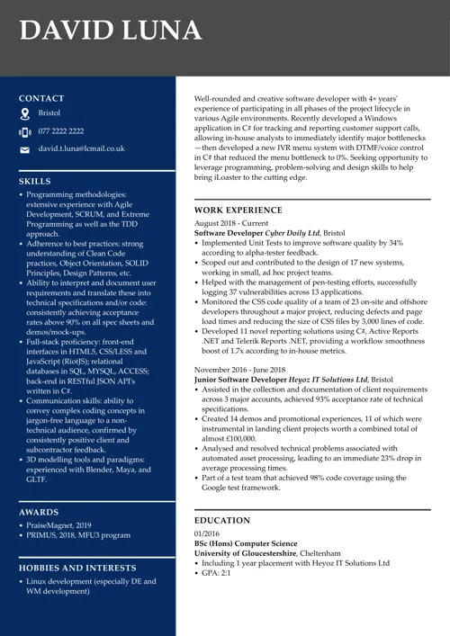 Software developer CV example