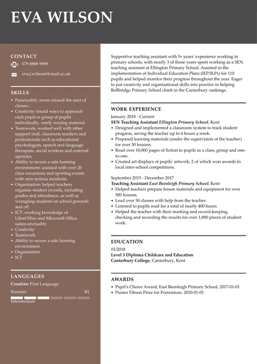 Teaching assistant CV example