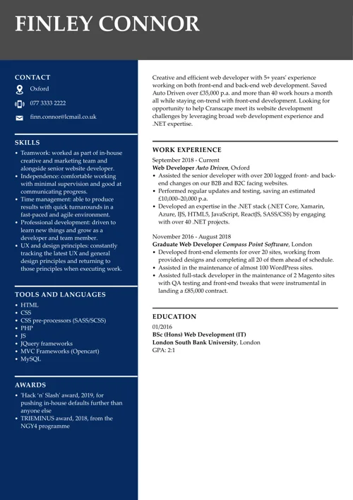 Web developer CV example